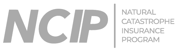 Flood protection and disaster relief efforts to prevent and mitigate flood damage.